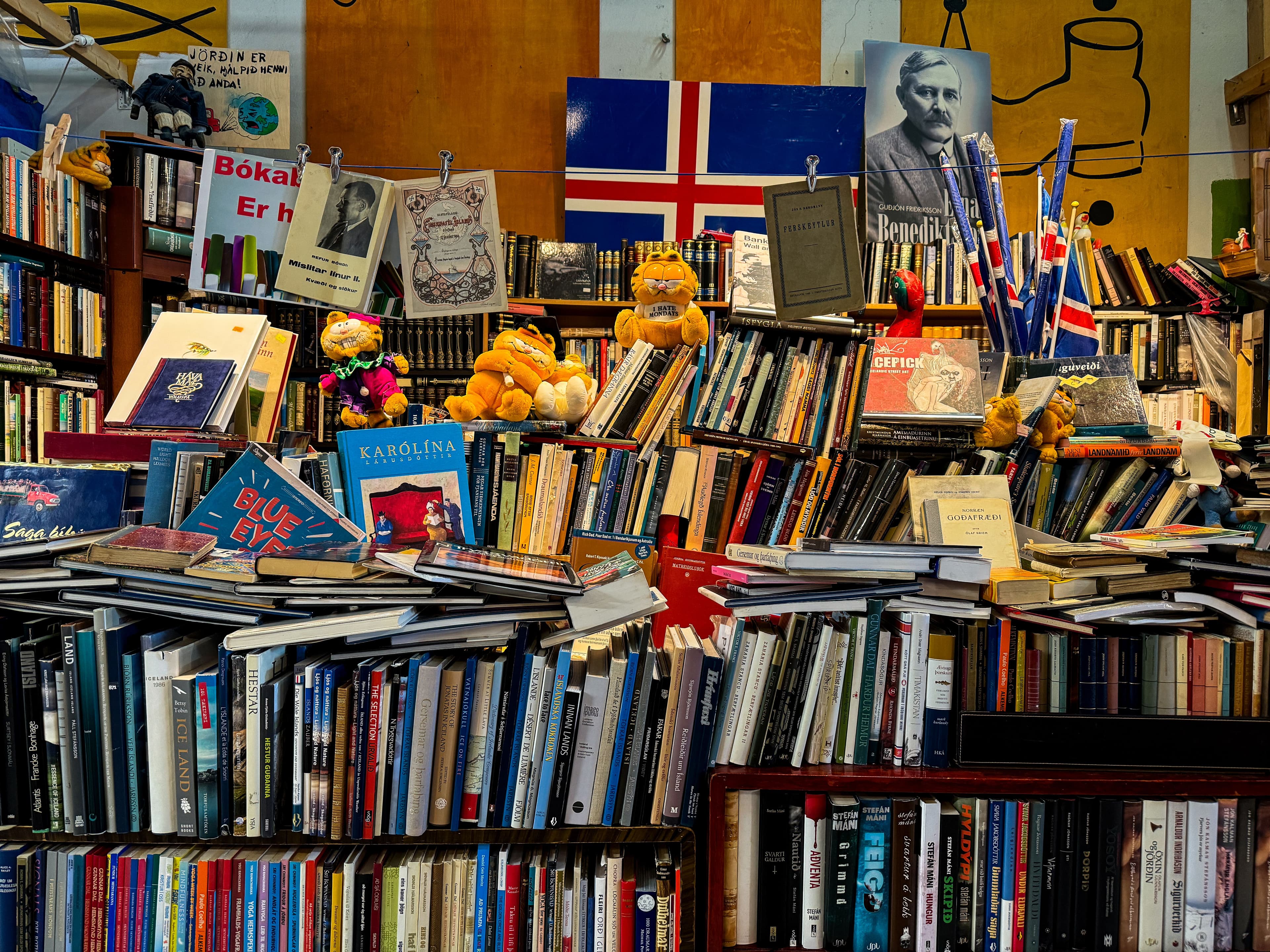 Exploring Reykjavik's Hidden Gem: Kolaportid Flea Market